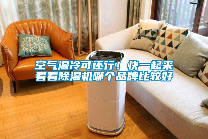 空氣濕冷可還行！快一起來看看除濕機(jī)哪個品牌比較好