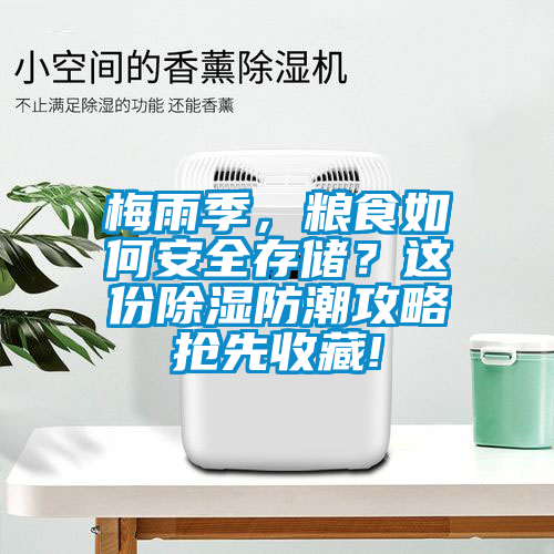 梅雨季，糧食如何安全存儲(chǔ)？這份除濕防潮攻略搶先收藏!