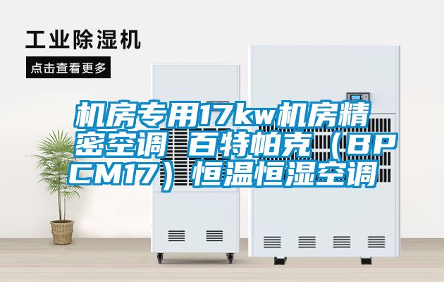 機(jī)房專用17kw機(jī)房精密空調(diào) 百特帕克（BPCM17）恒溫恒濕空調(diào)