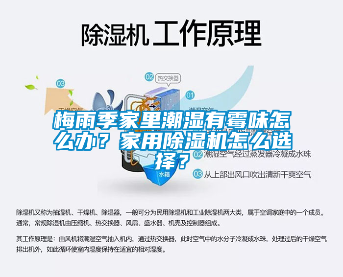 梅雨季家里潮濕有霉味怎么辦？家用除濕機怎么選擇？