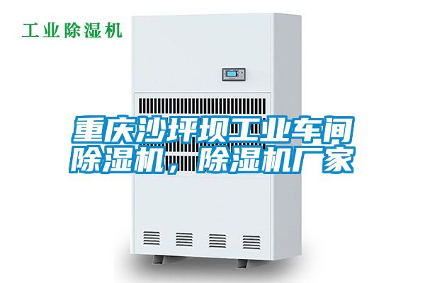 重慶沙坪壩工業(yè)車間除濕機，除濕機廠家