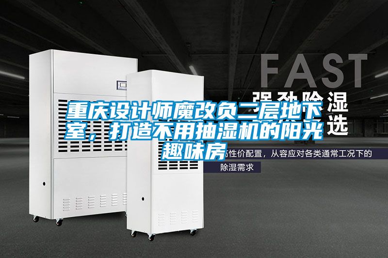 重慶設(shè)計(jì)師魔改負(fù)二層地下室，打造不用抽濕機(jī)的陽光趣味房
