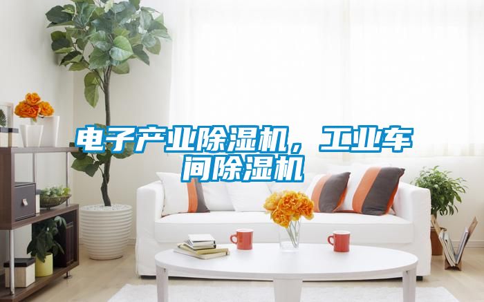 電子產(chǎn)業(yè)除濕機，工業(yè)車間除濕機