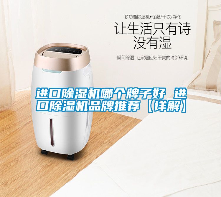 進(jìn)口除濕機(jī)哪個(gè)牌子好 進(jìn)口除濕機(jī)品牌推薦【詳解】