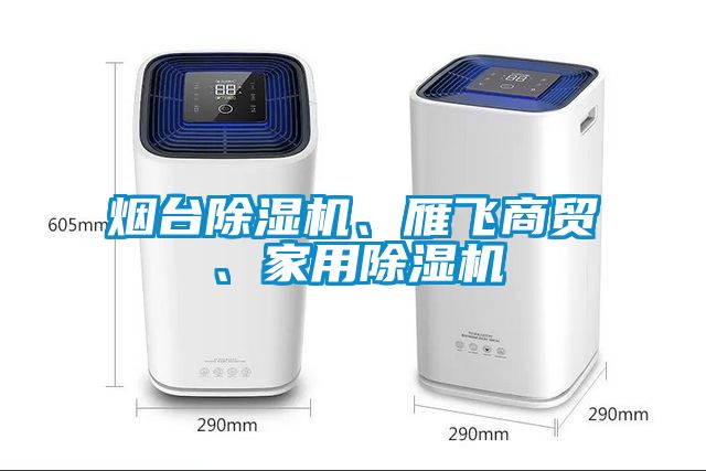 煙臺除濕機、雁飛商貿(mào)、家用除濕機