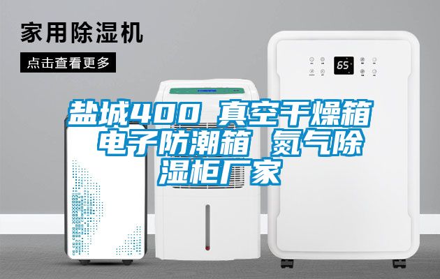 鹽城400℃真空干燥箱 電子防潮箱 氮?dú)獬凉窆駨S家