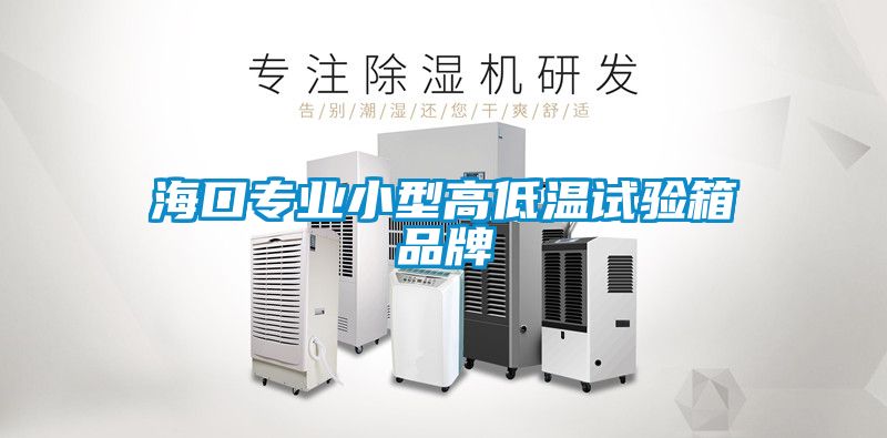 ?？趯I(yè)小型高低溫試驗(yàn)箱品牌