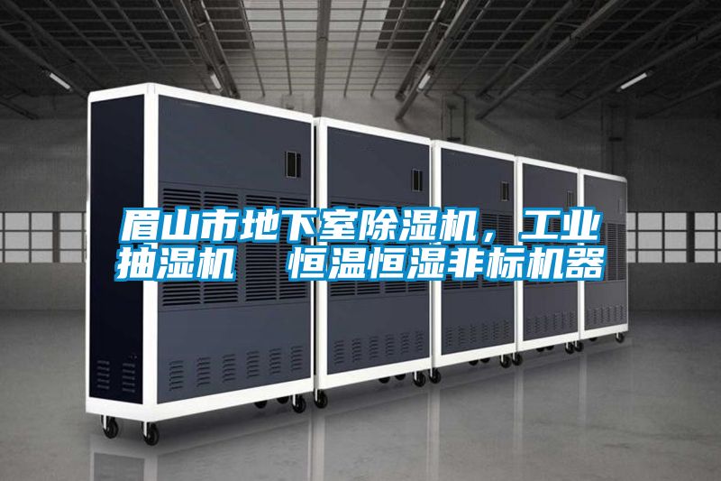 眉山市地下室除濕機，工業(yè)抽濕機  恒溫恒濕非標機器