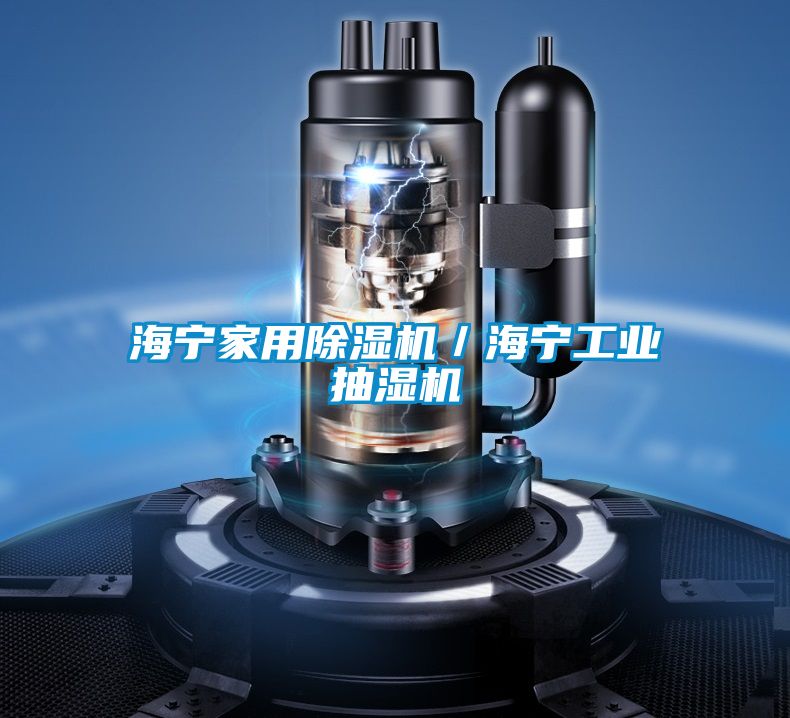 海寧家用除濕機／海寧工業(yè)抽濕機