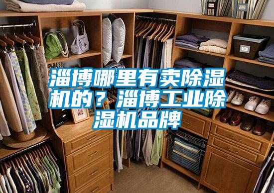淄博哪里有賣除濕機的？淄博工業(yè)除濕機品牌