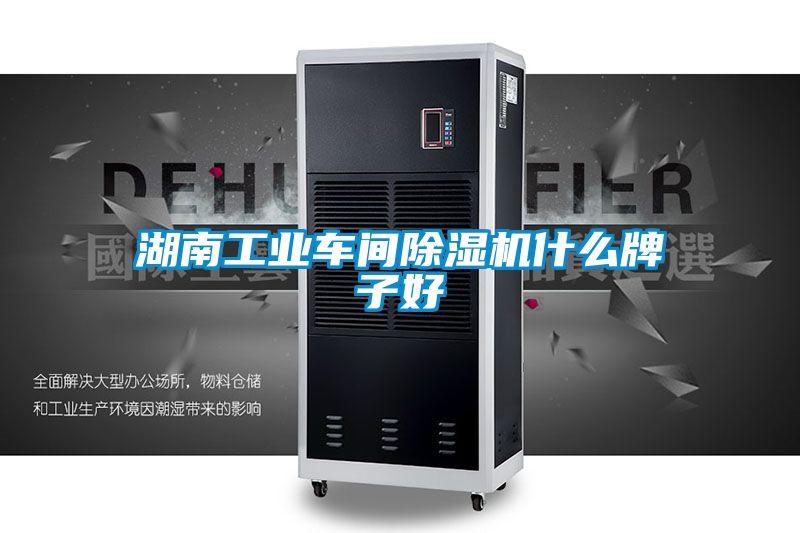 湖南工業(yè)車(chē)間除濕機(jī)什么牌子好