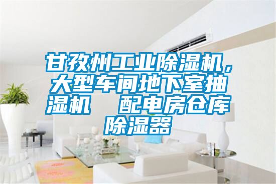 甘孜州工業(yè)除濕機(jī)，大型車(chē)間地下室抽濕機(jī)  配電房倉(cāng)庫(kù)除濕器