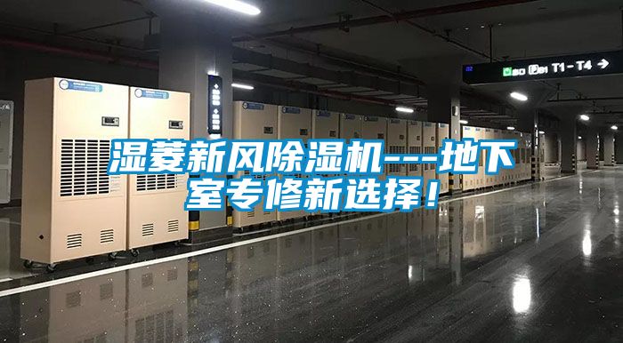 濕菱新風(fēng)除濕機---地下室專修新選擇！