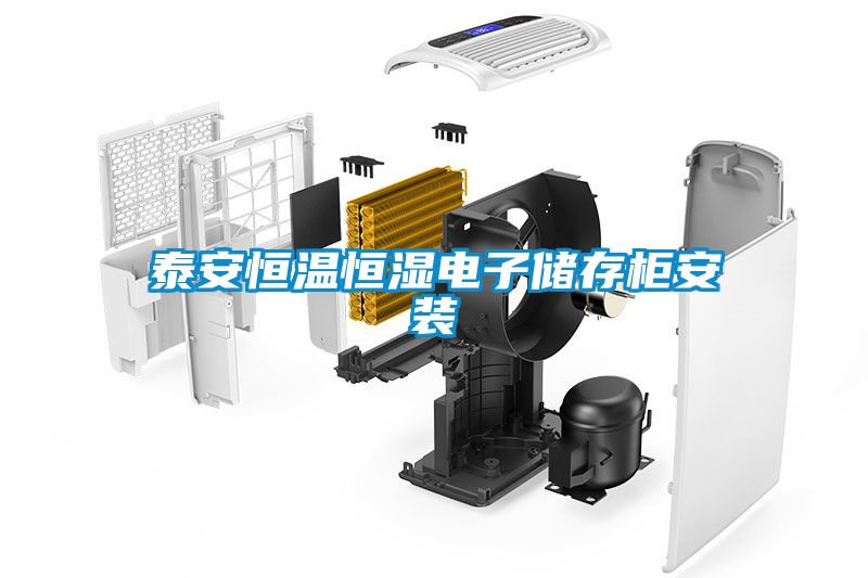 泰安恒溫恒濕電子儲(chǔ)存柜安裝