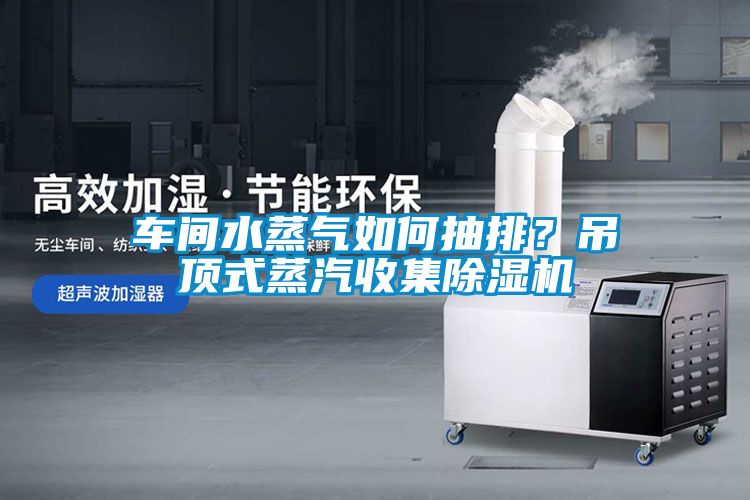 車間水蒸氣如何抽排？吊頂式蒸汽收集除濕機(jī)