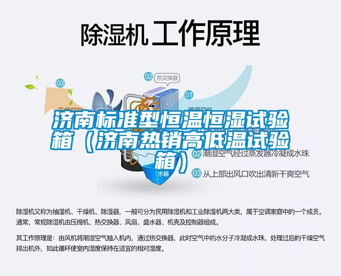 濟(jì)南標(biāo)準(zhǔn)型恒溫恒濕試驗(yàn)箱（濟(jì)南熱銷(xiāo)高低溫試驗(yàn)箱）