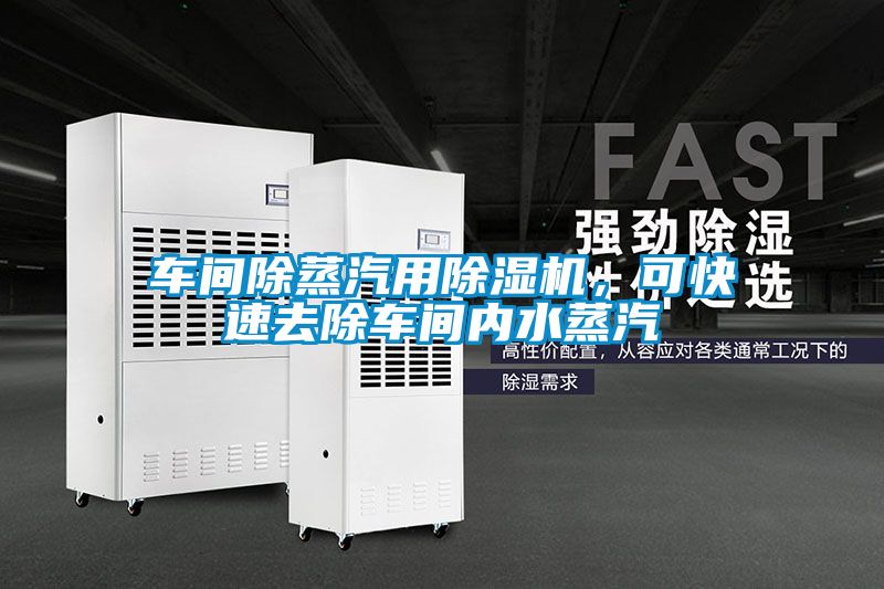 車間除蒸汽用除濕機，可快速去除車間內(nèi)水蒸汽
