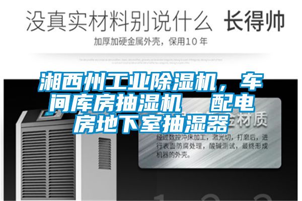 湘西州工業(yè)除濕機(jī)，車間庫房抽濕機(jī)  配電房地下室抽濕器