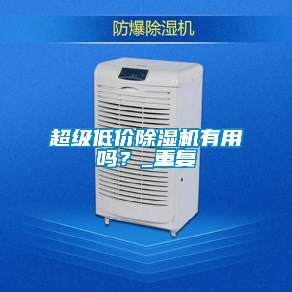 超級(jí)低價(jià)除濕機(jī)有用嗎？_重復(fù)