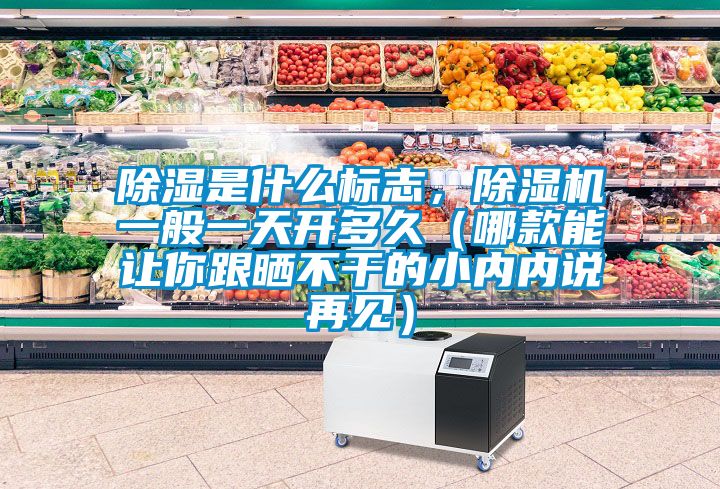 除濕是什么標志，除濕機一般一天開多久（哪款能讓你跟曬不干的小內(nèi)內(nèi)說再見）