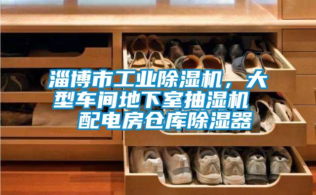 淄博市工業(yè)除濕機(jī)，大型車間地下室抽濕機(jī)  配電房倉庫除濕器