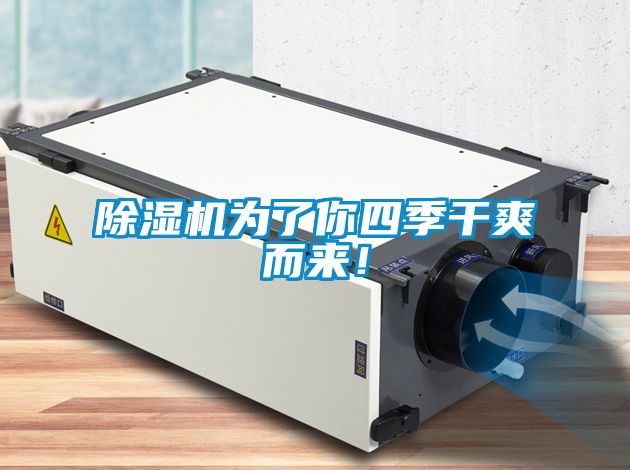 除濕機為了你四季干爽而來！