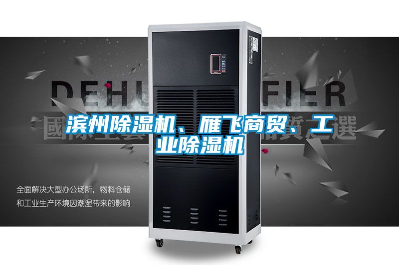 濱州除濕機、雁飛商貿(mào)、工業(yè)除濕機
