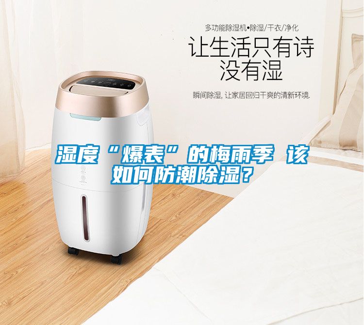 濕度“爆表”的梅雨季 該如何防潮除濕？