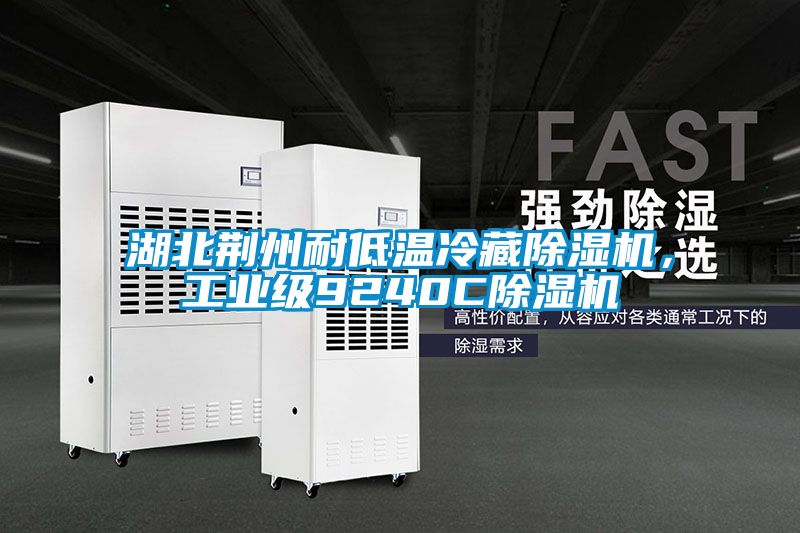 湖北荊州耐低溫冷藏除濕機(jī)，工業(yè)級(jí)9240C除濕機(jī)