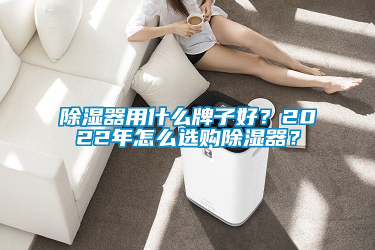 除濕器用什么牌子好？2022年怎么選購除濕器？