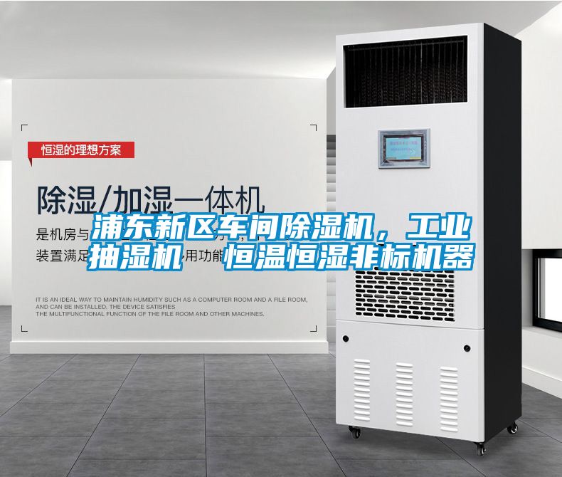 浦東新區(qū)車間除濕機(jī)，工業(yè)抽濕機(jī)  恒溫恒濕非標(biāo)機(jī)器