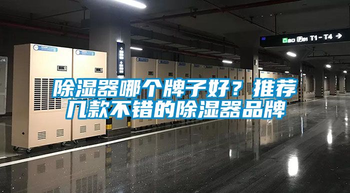 除濕器哪個(gè)牌子好？推薦幾款不錯(cuò)的除濕器品牌