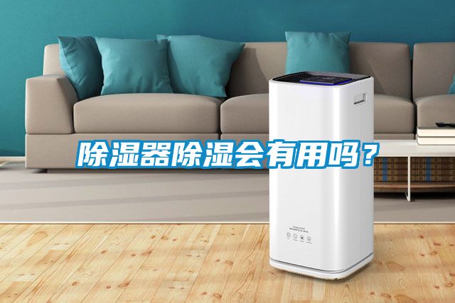 除濕器除濕會有用嗎？