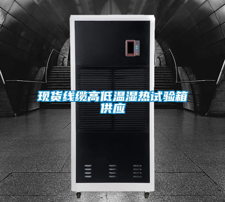 現(xiàn)貨線纜高低溫濕熱試驗箱供應