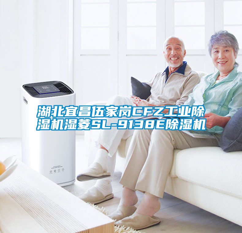 湖北宜昌伍家崗CFZ工業(yè)除濕機濕菱SL-9138E除濕機