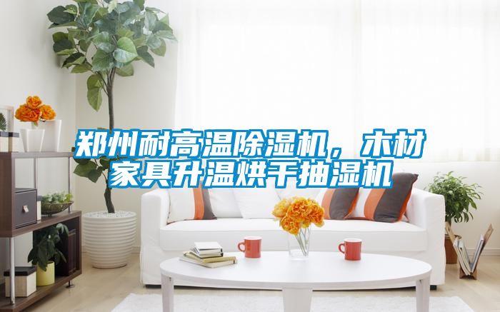 鄭州耐高溫除濕機(jī)，木材家具升溫烘干抽濕機(jī)