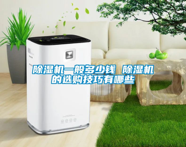 除濕機(jī)一般多少錢 除濕機(jī)的選購技巧有哪些