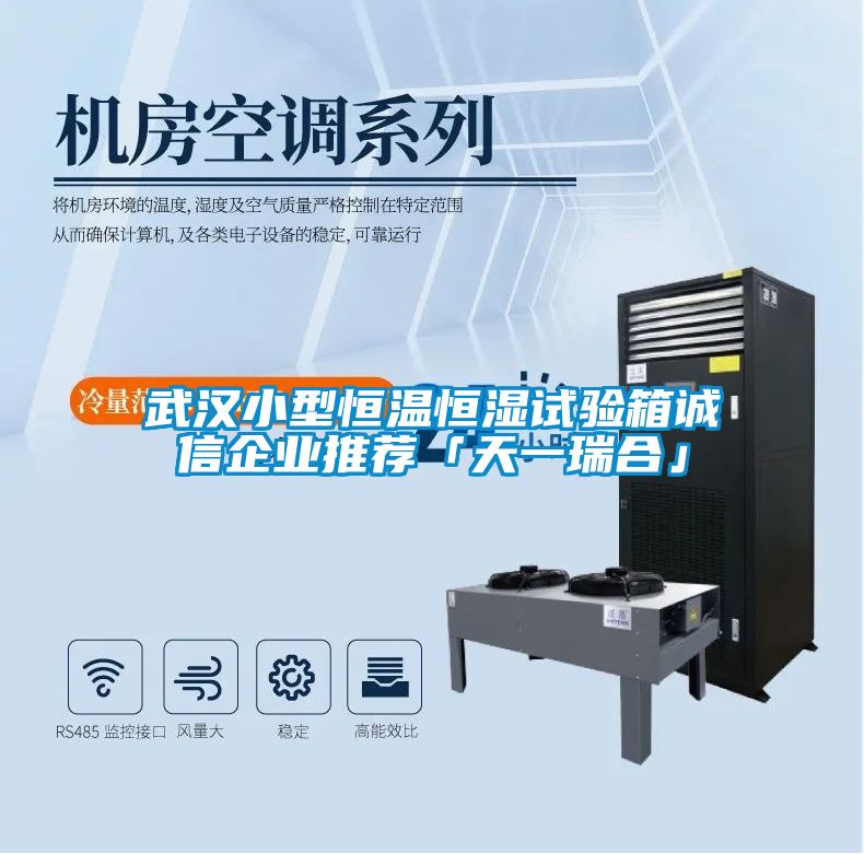 武漢小型恒溫恒濕試驗(yàn)箱誠信企業(yè)推薦「天一瑞合」
