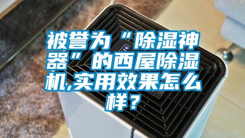 被譽為“除濕神器”的西屋除濕機,實用效果怎么樣？
