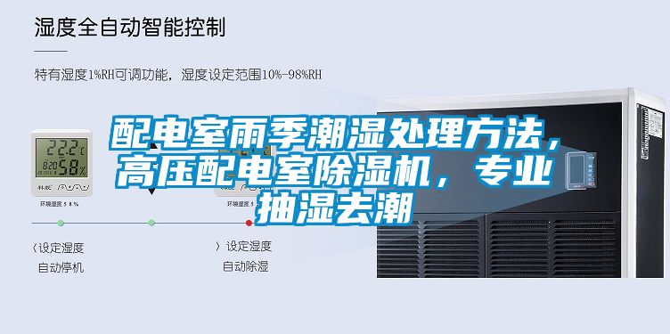 配電室雨季潮濕處理方法，高壓配電室除濕機(jī)，專(zhuān)業(yè)抽濕去潮