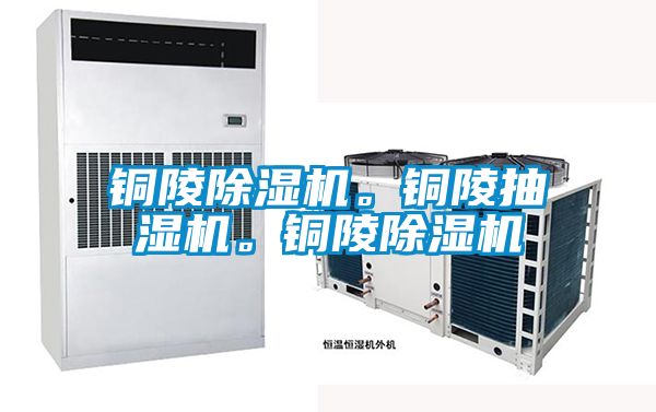 銅陵除濕機。銅陵抽濕機。銅陵除濕機