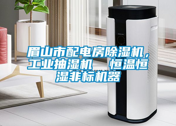 眉山市配電房除濕機，工業(yè)抽濕機  恒溫恒濕非標(biāo)機器