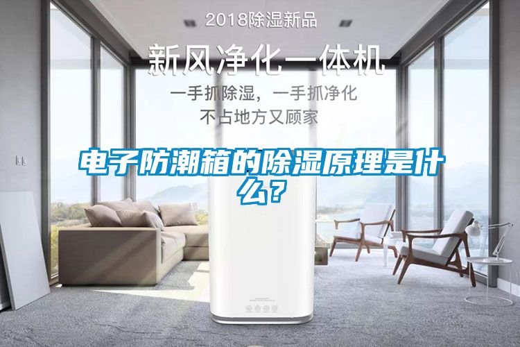 電子防潮箱的除濕原理是什么？