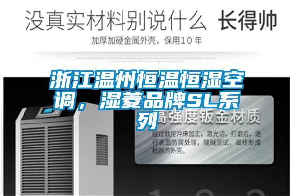 浙江溫州恒溫恒濕空調(diào)，濕菱品牌SL系列