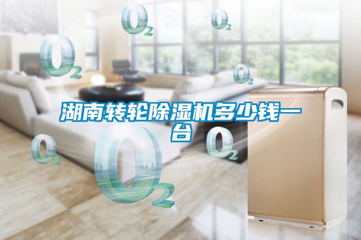 湖南轉(zhuǎn)輪除濕機(jī)多少錢(qián)一臺(tái)