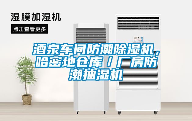 酒泉車間防潮除濕機(jī)，哈密地倉庫／廠房防潮抽濕機(jī)
