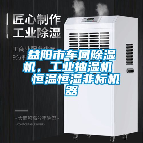 益陽(yáng)市車間除濕機(jī)，工業(yè)抽濕機(jī)  恒溫恒濕非標(biāo)機(jī)器