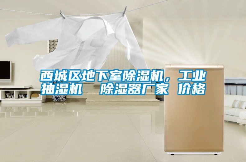西城區(qū)地下室除濕機(jī)，工業(yè)抽濕機(jī)  除濕器廠家 價(jià)格