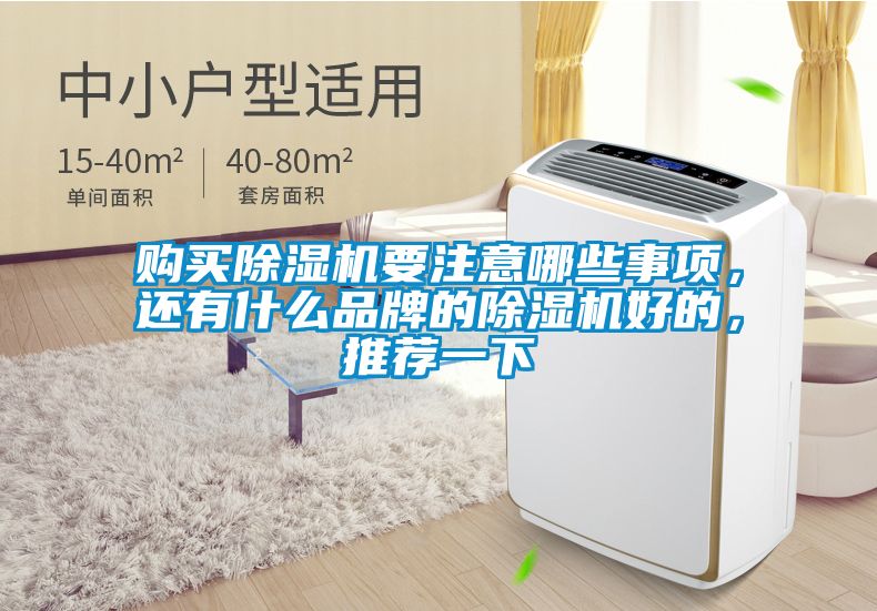 購買除濕機(jī)要注意哪些事項(xiàng)，還有什么品牌的除濕機(jī)好的，推薦一下