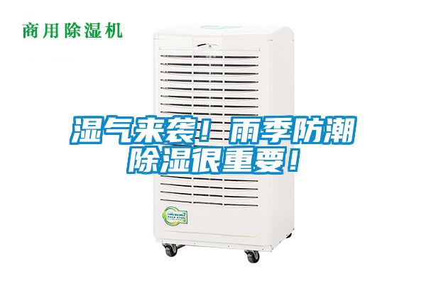 濕氣來襲！雨季防潮除濕很重要！